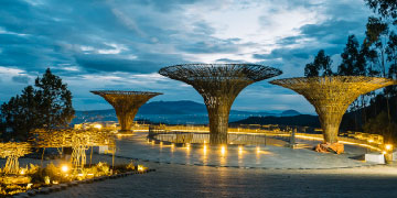 Entoto & cultural shopping package